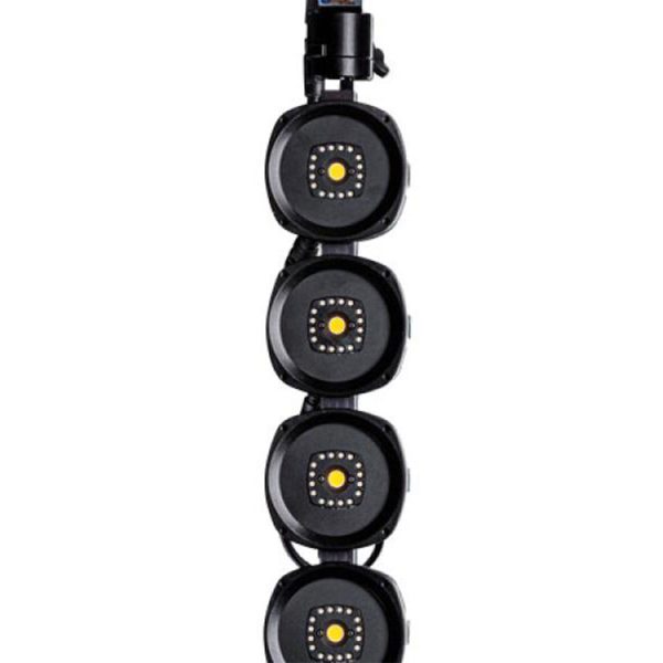 KNV Dot - Image 5