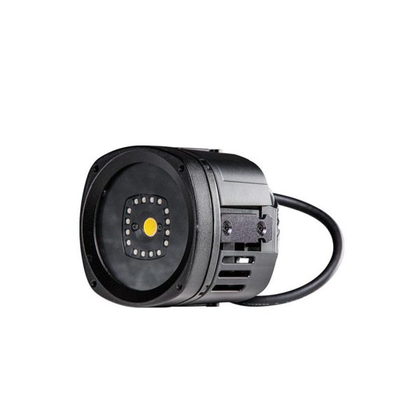 KNV Dot - Image 2